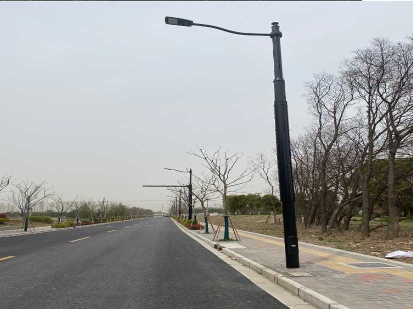 花莲县上海综合杆 太阳能路灯工程